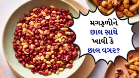 Peanuts : મગફળીને છાલ સાથે ખાવી સારી કે છાલ વગર ખાવી સારી? Peanuts : મગફળીને છાલ સાથે ખાવી સારી કે છાલ વગર ખાવી સારી?
