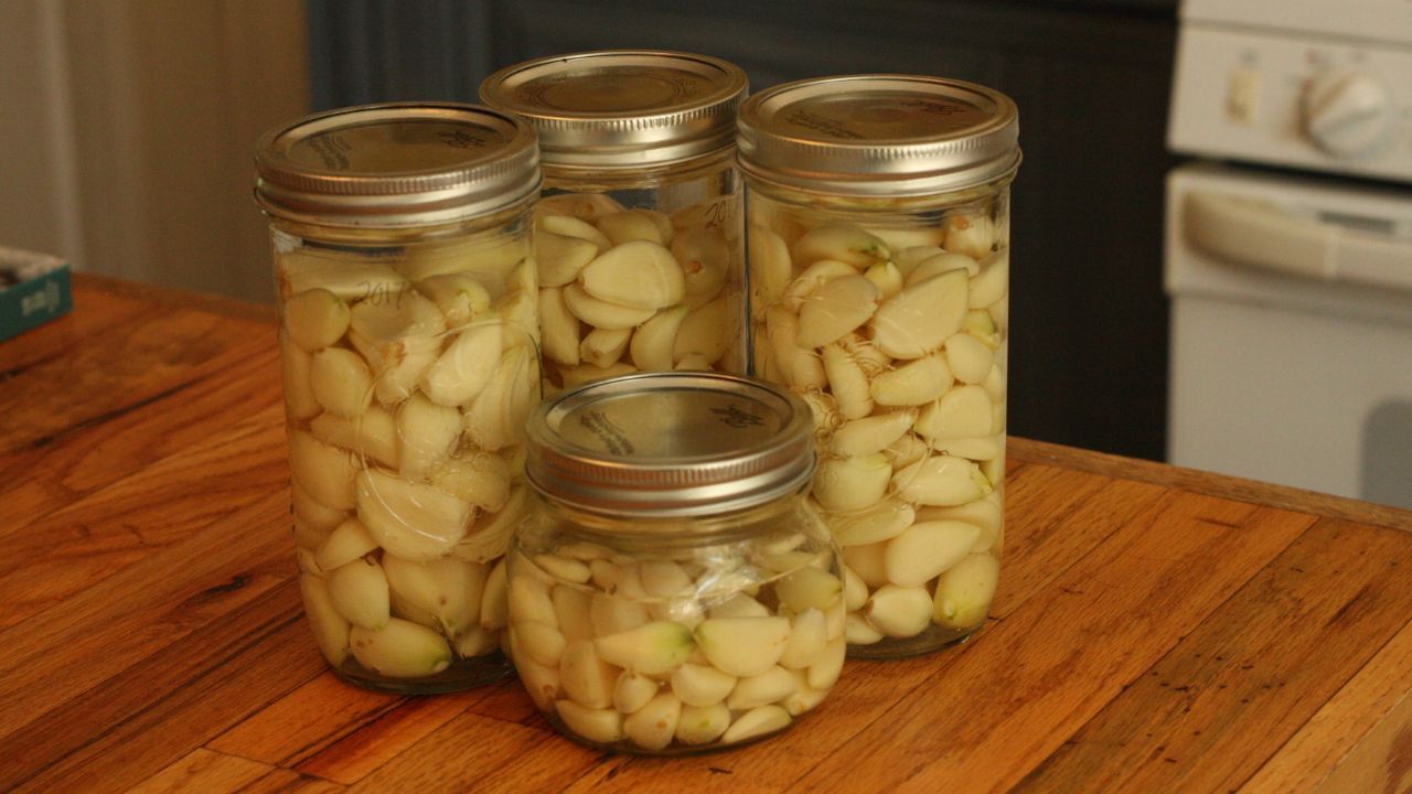 જો તેને સંગ્રહિત કરવું જ પડે તો સાચો રસ્તો કયો છે?: જો તમે ખરેખર સમય બચાવવા અને છાલેલા લસણને સંગ્રહિત કરવા માંગતા હો, તો કેટલીક બાબતો ધ્યાનમાં રાખવી મહત્વપૂર્ણ છે. હવાચુસ્ત પાત્રમાં અથવા ઝિપલોક બેગમાં સ્ટોર કરો. આનાથી હવા અને ભેજ બહાર રહેશે, જેનાથી લસણ લાંબા સમય સુધી તાજું રહેશે. જો તમે છોલેલા લસણને હવાચુસ્ત પાત્રમાં અથવા ઝિપ લોક બેગમાં રાખી રહ્યા છો, તો તેની શેલ્ફ લાઇફ ફક્ત 7 થી 10 દિવસની છે. આ સમયગાળામાં તમારે તેનો ઉપયોગ કરવો પડશે.
