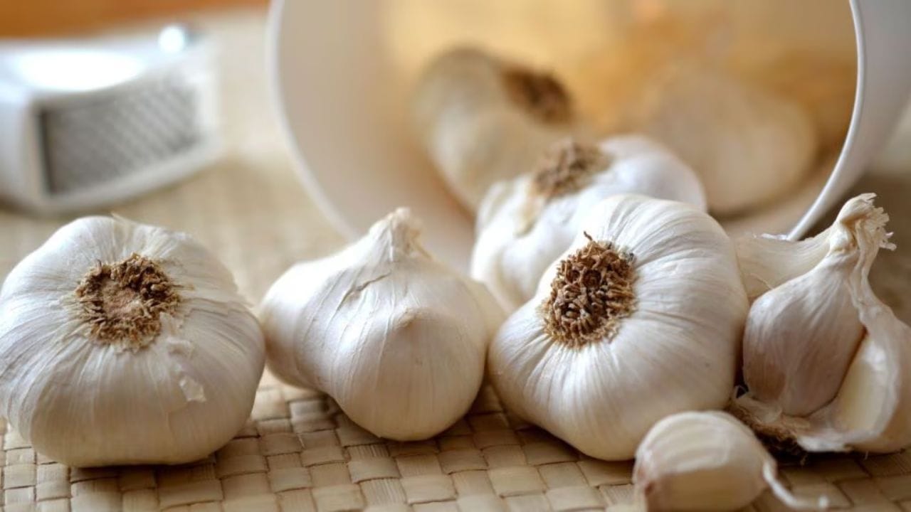 નિષ્ણાતોની સલાહ મુજબ, લસણની કળીઓમાં ભરપૂર માત્રામાં ફાઇબર હોય છે. ફાઇબર તમારા શરીરમાં મહત્વપૂર્ણ ભૂમિકા ભજવે છે. ફાઇબર તમારા વજનને નિયંત્રિત કરવામાં અને વજન વધતું અટકાવવામાં મદદ કરે છે.  જો તમે લસણને છોલ્યા વિના ખાઓ છો, તો તમને તેનાથી વધુ ફાયદા મળી શકે છે. લસણને છાલ સાથે ખાવાથી વજન ઓછું થાય છે. વધુમાં, સ્વાદિષ્ટ વાનગીઓમાં લસણનો ઉપયોગ ખોરાકના સ્વાદ અને ગુણવત્તાને પણ અસર કરે છે. 
