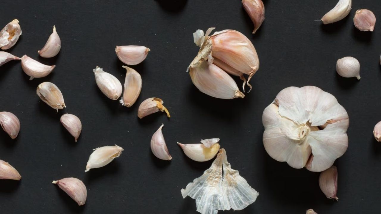  આયુર્વેદ અનુસાર, લસણને સારી રીતે છોલીને ખાવાથી ઘણા સ્વાસ્થ્ય લાભ થાય છે. આ પછી તેને થોડા સમય માટે ખુલ્લી હવામાં રાખો. આમ કરવાથી લસણમાં રહેલું ઔષધીય તત્વ એલિસિન સક્રિય થાય છે. આ તેને સ્વાસ્થ્ય માટે વધુ ફાયદાકારક બનાવે છે.
