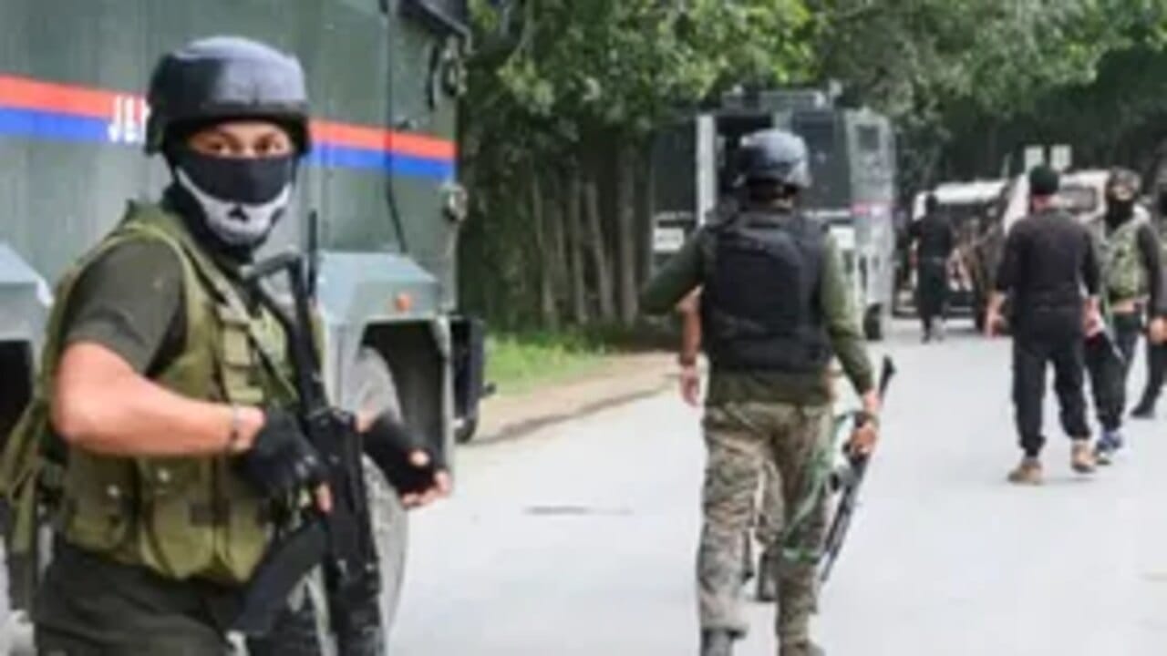 સૈન્ય વાહન પર ગોળીબારની ઘટનાને અંજામ આપ્યા બાદ આતંકીઓ તરત જ સ્થળ પરથી ફરાર થઈ ગયા હતા. હાલ આ ઘટનામાં કોઈને ઈજા કે જાનહાનિના સમાચાર નથી. સેના દ્વારા મોટા પાયે સર્ચ ઓપરેશન ચલાવવામાં આવી રહ્યું છે.
