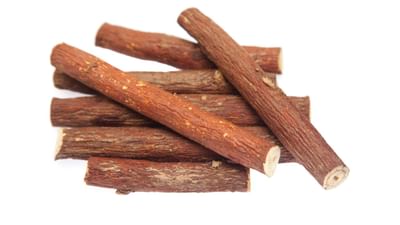 આયુર્વેદમાં મુલેઠીનું ખૂબ જ મહત્વપૂર્ણ સ્થાન છે. તેને ખૂબ જ ખાસ ઔષધિ માનવામાં આવે છે, જેનો ઉપયોગ સદીઓથી તેના ઔષધીય ગુણધર્મો માટે કરવામાં આવે છે. તે સ્વાદમાં મીઠી હોય છે.  તેમાં એન્ટી બેક્ટેરિયલ અને એન્ટી વાયરલ ગુણધર્મો છે જે શરીરને ઘણા ફાયદા પૂરા પાડે છે, આજે આપણે મુલેઠી ચાવવાના  મુખ્ય ફાયદાઓ જાણીશું, જે તમારા સ્વાસ્થ્ય માટે ફાયદાકારક સાબિત થઈ શકે છે.  ( Credits: Getty Images ) 