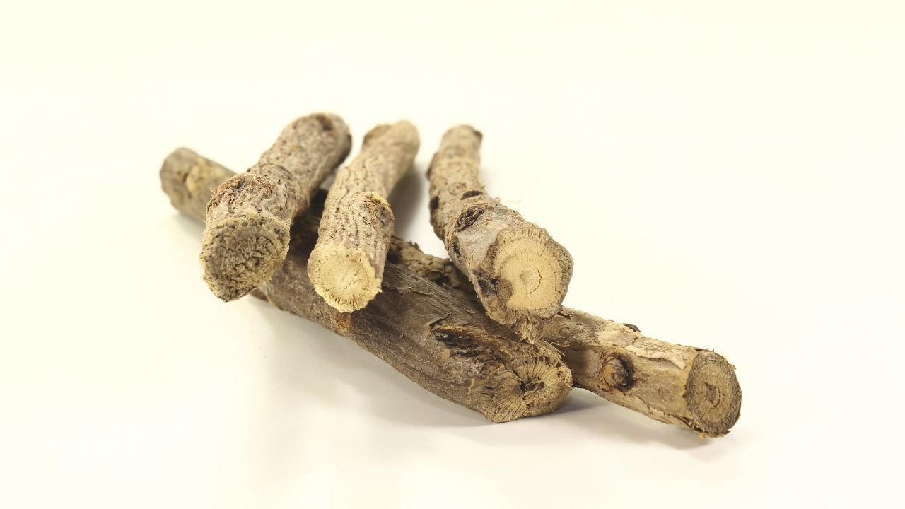 મુલેઠીમાં ચોક્કસ ઉત્સેચકો હોય છે જે શરીરમાં લિમ્ફોસાઇટ્સ અને મેક્રોફેજ ઉત્પન્ન કરવામાં મદદ કરે છે. આ કોષોનું કાર્ય શરીરના કોષોને બેક્ટેરિયા, એલર્જી અને પ્રદૂષણથી થતા નુકસાનથી બચાવવાનું છે.  રોગપ્રતિકારક શક્તિ વધારવા માટે, દરરોજ મુલેઠીની ચા બનાવીને પીવી ફાયદાકારક છે. ( Credits: Getty Images ) 