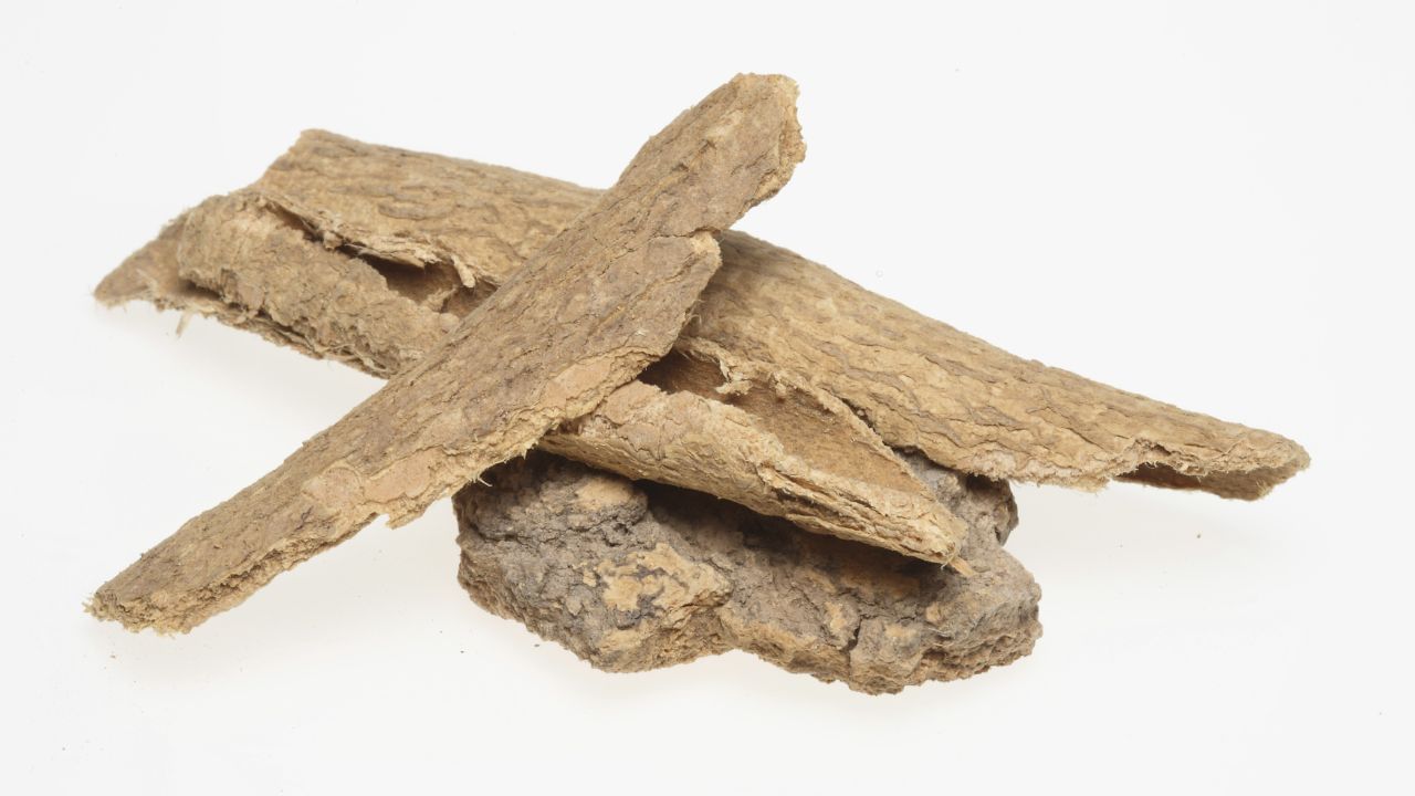 મુલેઠી ત્વચામાં એલર્જી અને સોજો ઘટાડવામાં મદદ કરે છે. મુલેઠીની મદદથી ત્વચા પર ખીલની સમસ્યા ઓછી કરી શકાય છે. ( Credits: Getty Images ) 