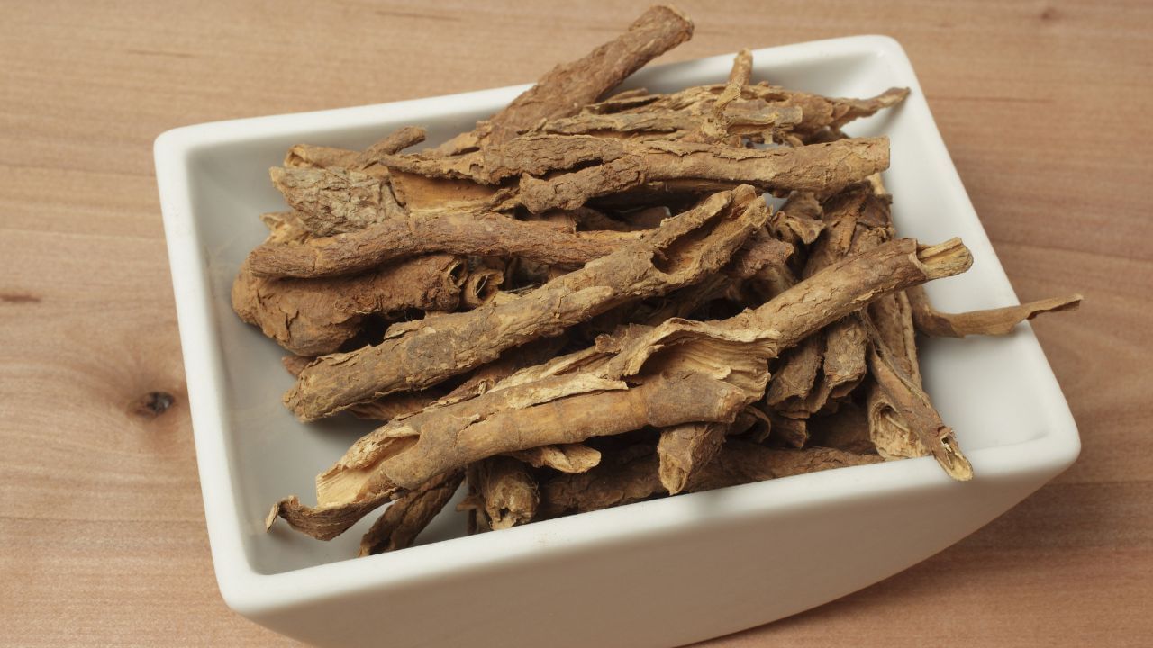 મુલેઠીના રુટ પેટના અલ્સરની સારવાર અને નિવારણમાં ખૂબ અસરકારક છે. તે પેટમાં લાળનું ઉત્પાદન વધારે છે, જે પેટના સ્તરને સુરક્ષિત કરે છે અને ઘાને મટાડવામાં મદદ કરે છે.  ( Credits: Getty Images ) 