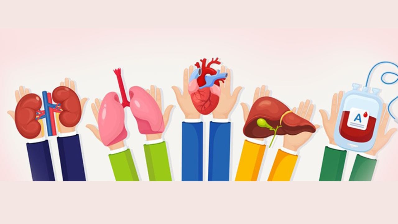 જો તમે પણ અંગદાન કરવાનું વિચારી રહ્યા છો તો પહેલા ચાલો જાણીએ કયા કયા અંગોને ડોનેટ કરી શકાય છે તમને જણાવી દઈએ કે હૃદય મૃત્યુના 4 થી 6 કલાકની અંદર ડોનેટ કરી શકાય છે, કિડની મૃત્યુના 30 કલાકની અંદર, આંતરડા – 6 કલાકની અંદર અને સ્વાદુપિંડ - 6 કલાકની અંદર ડોનેટ કરી શકાય છે  