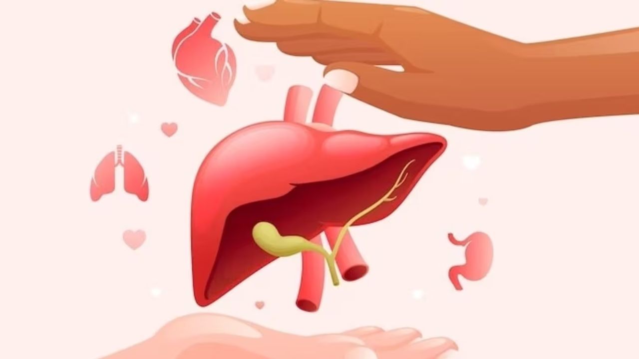 આ વેબસાઈટ પર જઈ ડોનર ફોર્મ ભરો. આ ફોર્મ એકદમ ફ્રી હશે અહીં તમારે પહેલા તમારો આધારકાર્ડ નંબર દાખલ કરવો પડશે, પછી ફોર્મ ભરવાનું રહેશે. આ સાથે જરુરી નામ અને નંબર તેમજ આઈડી પણ આપવાનું રહેશે. 