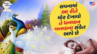 સપનાઓની દુનિયા ખૂબ જ વિચિત્ર અને અદ્ભુત છે. આપણે સપનામાં ઘણી વિચિત્ર વસ્તુઓ જોઈએ છીએ. પરંતુ દરેક સ્વપ્નનો ચોક્કસ અર્થ હોય છે. સ્વપ્ન શાસ્ત્રના નામે સપનાઓને વિગતવાર સમજાવવામાં આવ્યા છે.
