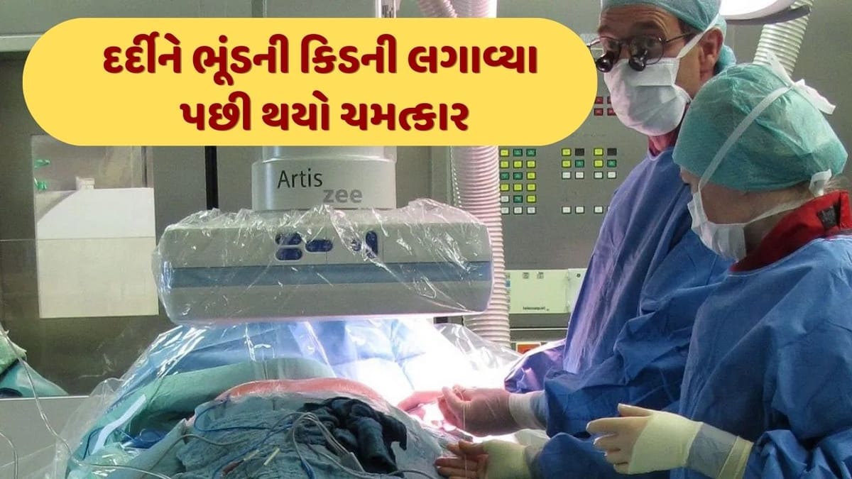 કિડની ડોનર ન મળ્યો, તો લગાવી દીધી ભૂંડની કિડની, પછી બની આશ્ચર્ય પમાડે તેવી ઘટના