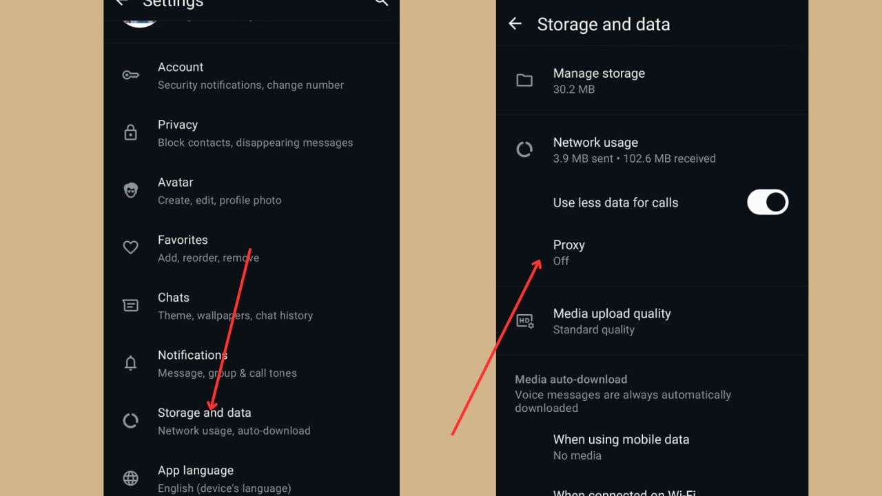પ્રોક્સી ફીચરનો લાભ લેવા માટે પહેલા તમારા સ્માર્ટફોનમાં પ્રોક્સી ફીચરને ઓન કરવાનું રહશે. ફોનમાં WhatsApp ખોલો. જમણી બાજુના ડોટ પર ક્લિક કરો. સેટિંગ્સ પર જાઓ. આ કર્યા પછી સ્ટોરેજ અને ડેટા પસંદ કરો. અહીં તમને Proxy નો વિકલ્પ બતાવવામાં આવશે. પ્રોક્સી એડ્રેસ દાખલ કરો અને સેવ કરી લો. પ્રોક્સી એડ્રેસ સેવ થશે એટલે લીલો ડોટ દેખાશે. આ બતાવે છે કે તમારું પ્રોક્સી સરનામું કનેક્ટ થઈ ગયું છે.