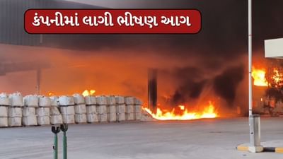 Vadodara : મંજુસર GIDCમાં ટાઈલ્સનો પાઉડર બનાવતી કંપનીમાં લાગી ભીષણ આગ, જુઓ Video