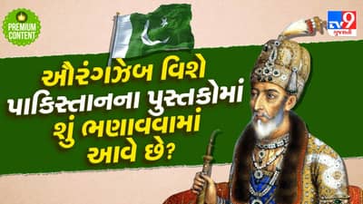 કરોડો હિંદુઓ પર અત્યાચાર કરનારા ક્રુર મુગલ શાસક ઔરંગઝેબ વિશે પાકિસ્તાનમાં બાળકોને શું ભણાવવામાં આવે છે?- વાંચો