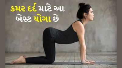 Yoga Poses For Back Pain : ઘણી વખત સફાઈ માટે ભારે વસ્તુઓ વાળવી કે ઉપાડવી પડે છે. આ સિવાય ખોટી સ્થિતિમાં બેસવાથી કમરનો દુખાવો થવો એ સામાન્ય સમસ્યા છે. જેના કારણે આખો દિવસ બેસવું પણ મુશ્કેલ બની જાય છે. આવી સ્થિતિમાં કેટલાક યોગાસનો મદદરૂપ થઈ શકે છે. કારણ કે તે સ્નાયુઓને આરામ આપે છે અને તેમની ફ્લેક્સિબિલીટી વધારે છે.