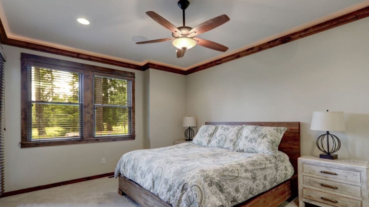 જો ઘરમાં લગાવેલ સીલિંગ ફેન ગરમ હવા આપવા લાગ્યો હોય તો સમજવું કે તેની સ્થિતિ યોગ્ય નથી. ઠંડી હવા ઉત્પન્ન કરવા માટે પંખાની બ્લેડ ઘડિયાળની વિરુદ્ધ દિશામાં ફેરવવી જોઈએ. જો પંખાની કોઈપણ બ્લેડ વાંકાચૂકા અથવા ઢીલી હોય, તો તેને તાત્કાલિક રીપેર કરાવો.