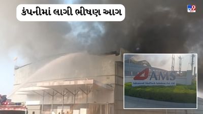 Vadodara : મંજુસર ગામે GIDC આવેલી એક કંપનીમાં લાગી ભીષણ આગ, જુઓ Video