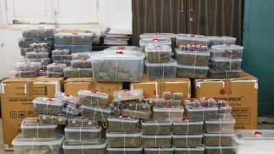 Ahmedabad : વિદેશથી પાર્સલોની આડમાં નશાકારક પદાર્થોની હેરાફેરીનો પર્દાફાશ, કરોડોનો ગાંજો અને ડ્રગ્સ ઝડપાયુ, જુઓ Video Ahmedabad : વિદેશથી પાર્સલોની આડમાં નશાકારક પદાર્થોની હેરાફેરીનો પર્દાફાશ, કરોડોનો ગાંજો અને ડ્રગ્સ ઝડપાયુ, જુઓ Video