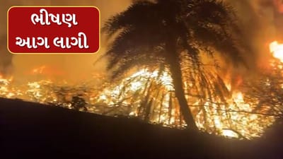 Surat  : ગભેણી ચાર રસ્તા પર કચરામાં લાગી ભીષણ આગ, ફાયર વિભાગની 8 ગાડી સ્થળે, જુઓ Video