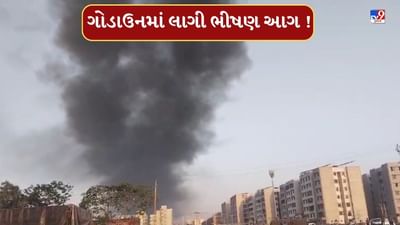 Vadodara  : વાઘોડિયામાં  સ્ક્રેપના ગોડાઉનમાં લાગી ભીષણ આગ, ફાયર વિભાગની 20 ગાડી ઘટના સ્થળે, જુઓ Video