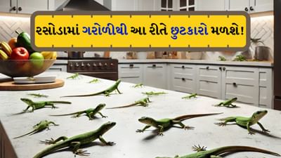 ગરોળી દરેક ઋતુમાં ક્યાંક ને ક્યાંક જોવા મળે છે, પરંતુ જ્યારે હવામાન ગરમ થાય છે, ત્યારે તે બાથરૂમ, રસોડા, રૂમ, દરેક જગ્યાએ દિવાલો અને છત પર દેખાવા લાગે છે. કેટલાક લોકો ગરોળી જોતા જ ભાગવા લાગે છે. મોટાભાગની ઘરેલું ગરોળી ઝેરી નથી હોતી, પરંતુ સૌથી મોટો ભય એ છે કે ગરોળી કોઈ ખાદ્ય પદાર્થમાં પડી શકે છે અથવા જમીન પર રખડતી હોઈ શકે છે. આ માટે ઘરમાં દવાનો છંટકાવ કરી શકાય છે જ્યારે તમારા રસોડામાં ઘણી બધી વસ્તુઓ એવી હોય છે જે ગરોળીને ભગાડી દેશે.