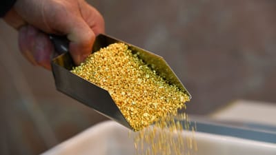 Gold Silver Price Today:બુધવારે (19 માર્ચ, 2025) સવારે ભારતીય બુલિયન માર્કેટમાં સોના અને ચાંદીના ભાવમાં ઉછાળો આવ્યો હતો. સોનું હવે 88354 રૂપિયા પ્રતિ 10 ગ્રામની ઉપર છે જ્યારે ચાંદીની કિંમત 100400 રૂપિયા પ્રતિ કિલો છે. રાષ્ટ્રીય સ્તરે 999 શુદ્ધતાના 24 કેરેટ 10 ગ્રામ સોનાની કિંમત 88354 રૂપિયા છે. જ્યારે 999 શુદ્ધતા ચાંદીની કિંમત 100400 રૂપિયા છે.