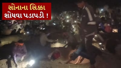 આ ગામમાં અડધી રાત્રે સોનાના સિક્કા શોધવા ઉમટ્યા ટોળા ! બાળકો પણ જમીન ખોદવા લાગ્યા, જુઓ Video આ ગામમાં અડધી રાત્રે સોનાના સિક્કા શોધવા ઉમટ્યા ટોળા ! બાળકો પણ જમીન ખોદવા લાગ્યા, જુઓ Video