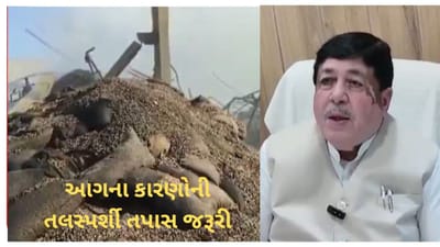 મગફળીના ગોડાઉનમાં આગ લાગવાના કારણોની તલસ્પર્શી તપાસ સરકારીસ્તરે થવી જરૂરીઃ દિલીપ સંઘાણી