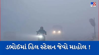 Vadodara : કાળઝાળ ગરમી વચ્ચે ડભોઈમાં સર્જાયો હિલ સ્ટેશન જેવો માહોલ, ધુમ્મસના કારણે વાહન ચાલકોને હાલાકી, જુઓ Video