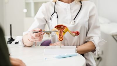 ગર્ભાશય કોથળી મહિલાઓના શરીરનું સૌથી મહત્વના અંગમાંથી એક છે. જેનું મુખ્ય કાર્ય ગર્ભ ધારણ કરવું તેમજ ભ્રૂણનો વિકાસ થાય છે.