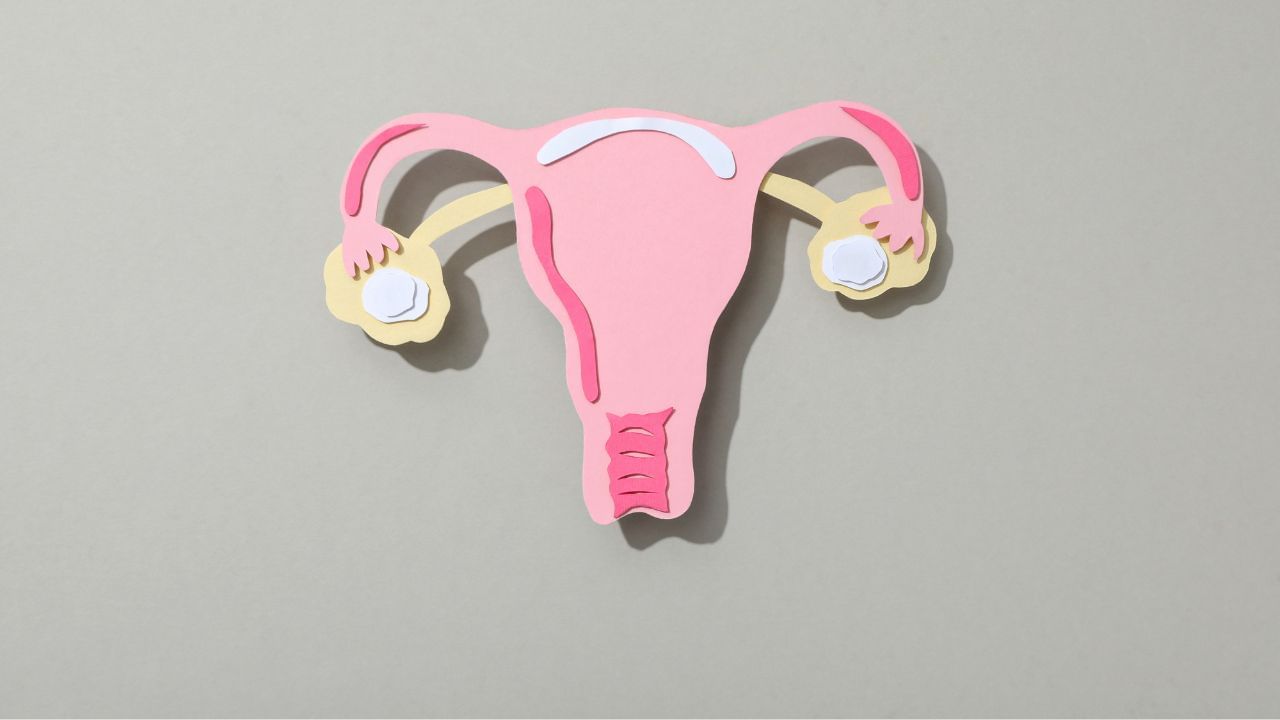 તો ચાલો આજે આપણે જાણીએ કે, વ્હાઈટ પાણી મહિલાઓને કેમ પડે છે. તેમજ મહિલાઓ આ સમસ્યાથી કઈ રીતે બચી શકે છે.