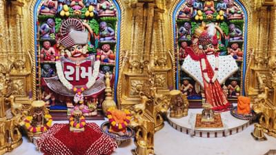 ભક્ત હનુમાનજીની પૂજા કરતી વખતે હનુમાન ચાલીસા અથવા સુંદરકાંડનો પાઠ કરે છે તેની બધી મુશ્કેલીઓ દૂર થઈ જાય છે. આ કારણથી હનુમાનજીને સંકટમોચન કહેવામાં આવે છે.હનુમાનજીના પરિવાર વિશે જાણીએ. ( photo : Shri Hanuman Temple Salangpur)