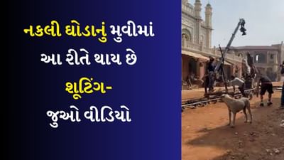 ઘોડા વગર જ ઘોડાનું શૂટિંગ, જુઓ આ રીતે કરવામાં આવે છે નકલી ઘોડાનું શૂટિંગ-Watch video