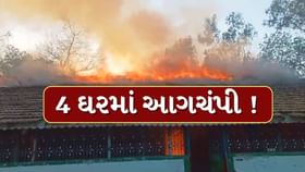 ગોધરાના નસીપુરમાં અંગત અદાવતમાં 4 મકાનોને આગચંપી ગોધરાના નસીપુરમાં અંગત અદાવતમાં 4 મકાનોને આગચંપી