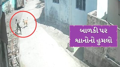Jamnagar : 10 વર્ષની બાળકી પર શ્વાન તુટી પડ્યા, બાળકી ગંભીર રીતે ઘાયલ, જુઓ સમગ્ર ઘટનાના CCTV