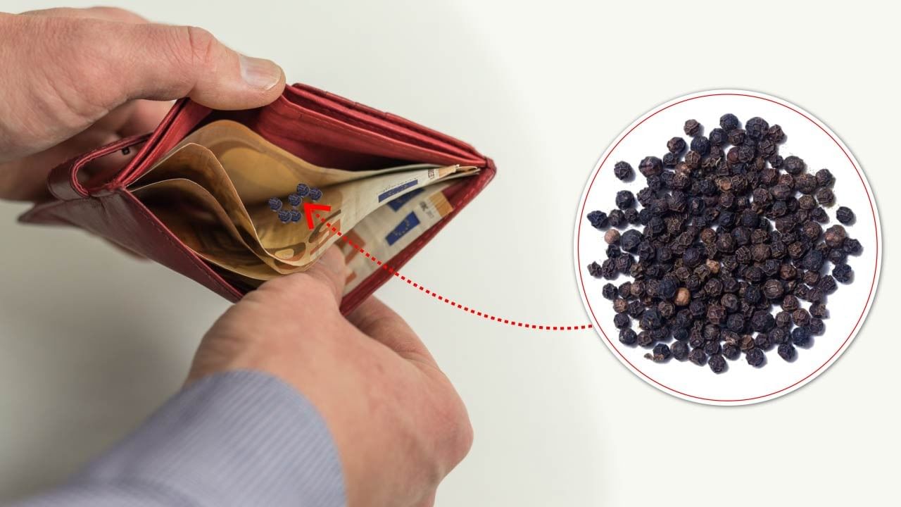 હિન્દુ ધર્મમાં કાળા મરીનું વિશેષ મહત્વ માનવામાં આવે છે. જો તમે તમારા પર્સમાં કાળા મરી રાખો છો, તો તમને ઘણા ચમત્કારિક ફાયદાઓનો અનુભવ થઈ શકે છે. ( Credits: Getty Images ) 