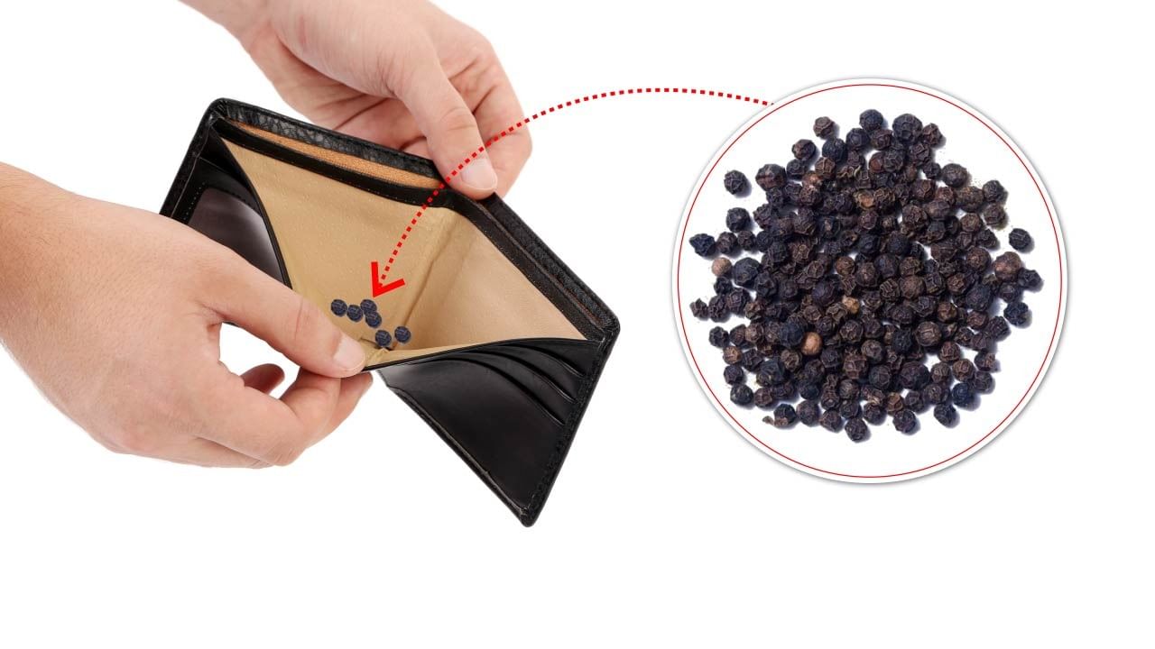 ધાર્મિક માન્યતાઓ અનુસાર, જીવનમાં સકારાત્મક ઉર્જા મેળવવા માટે કાળા મરીના બીજ પર્સમાં પણ રાખી શકાય છે. ( Credits: Getty Images ) 