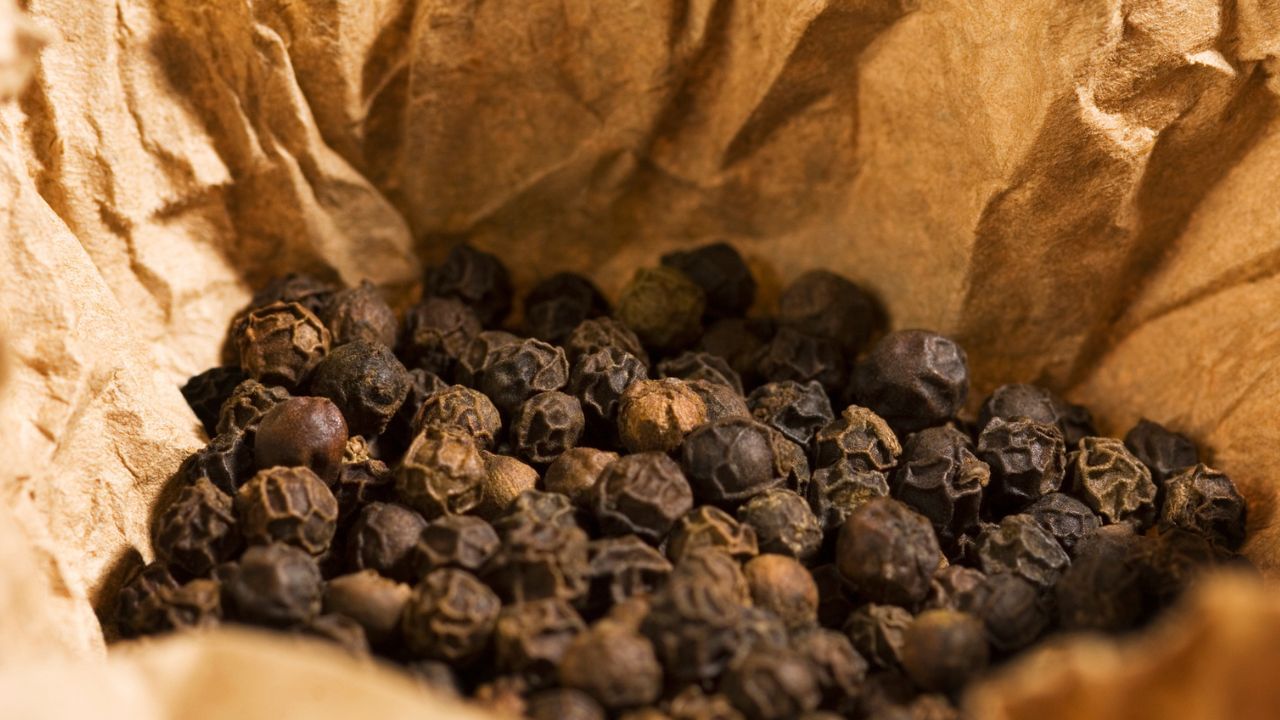 જો તમારા જીવનમાં પૈસાની અછત હોય, તો તમારે તમારા પર્સમાં 2 કાળા મરીના દાણા રાખવા જોઈએ. આમ કરવાથી નાણાકીય લાભ થાય છે. ( Credits: Getty Images ) 