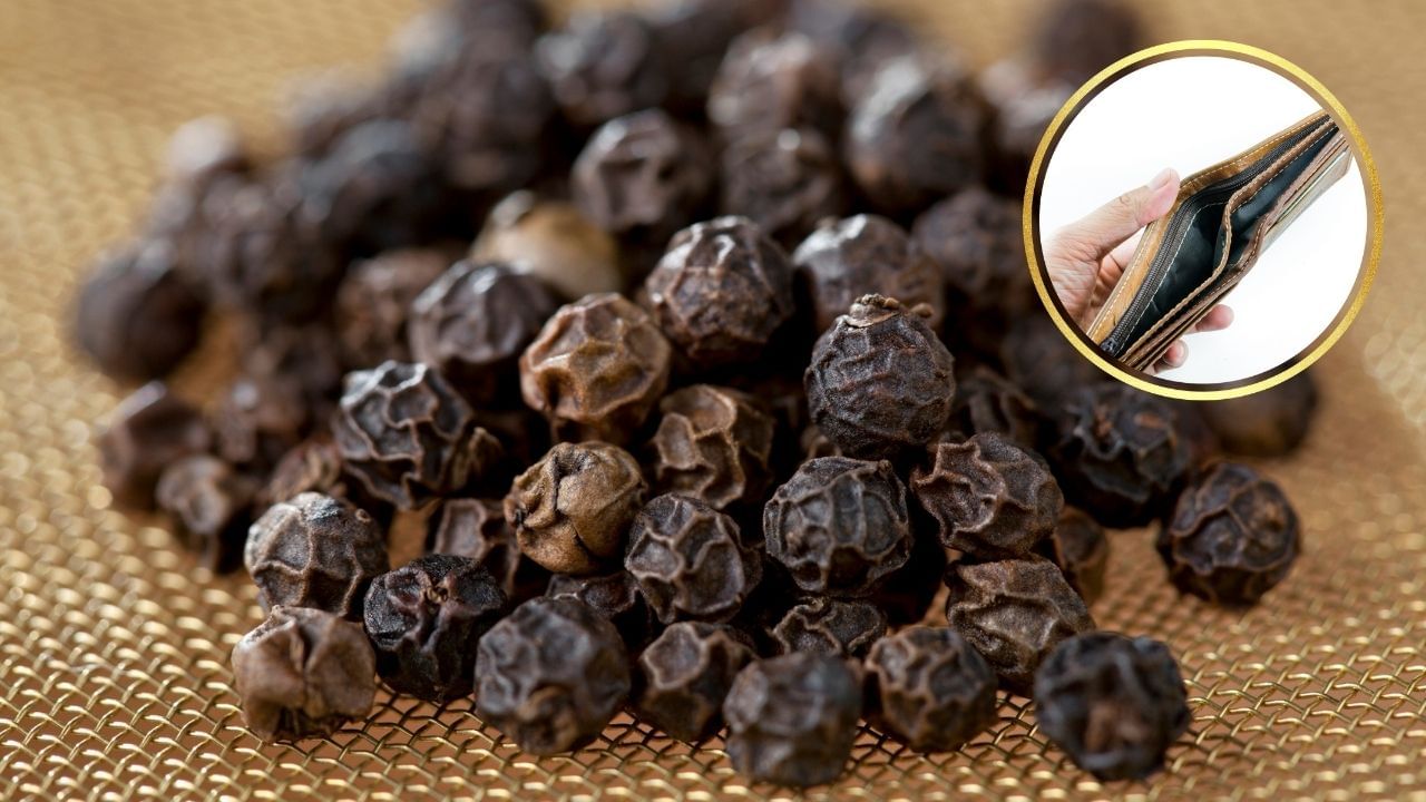 શનિદેવનો ક્રોધ ખૂબ જ ખરાબ માનવામાં આવે છે. શનિદેવ જેના પર ગુસ્સે થાય છે, તેનું જીવન ખોરવાઈ જાય છે. તેમને શાંત કરવા માટે, કાળા મરીના દાણા પર્સમાં રાખવા જોઈએ. ( Credits: Getty Images ) 