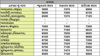 કપાસના તા.04-03-2025ના રોજ APMCના ભાવ રૂ.5000 થી 7650 રહ્યા.