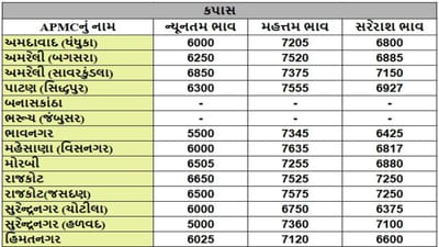કપાસના તા.22-03-2025ના રોજ APMCના ભાવ રૂ.5000 થી 7635 રહ્યા.