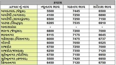 કપાસના તા.05-03-2025ના રોજ APMCના ભાવ રૂ.4100 થી 7535 રહ્યા.