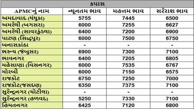 કપાસના તા.06-03-2025ના રોજ APMCના ભાવ રૂ.5250 થી 7535 રહ્યા.