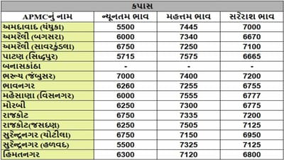 કપાસના તા.07-03-2025ના રોજ APMCના ભાવ રૂ.5500 થી 7575 રહ્યા.