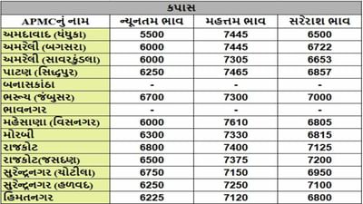 કપાસના તા.11-03-2025ના રોજ APMCના ભાવ રૂ.5500 થી 7610 રહ્યા.