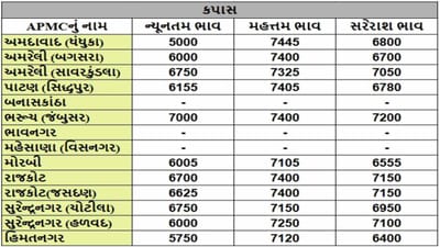 કપાસના તા.12-03-2025ના રોજ APMCના ભાવ રૂ.5000 થી 7445 રહ્યા.