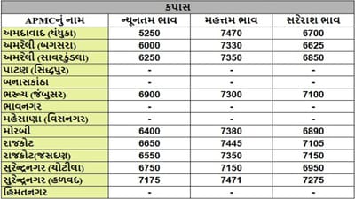 કપાસના તા.13-03-2025ના રોજ APMCના ભાવ રૂ.5250 થી 7470 રહ્યા.