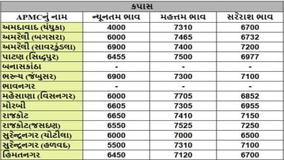 કપાસના તા.19-03-2025ના રોજ APMCના ભાવ રૂ.4000 થી 7705 રહ્યા.