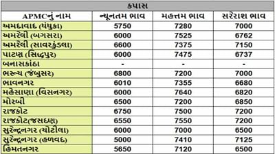 કપાસના તા.21-03-2025ના રોજ APMCના ભાવ રૂ.5000 થી 7640 રહ્યા.