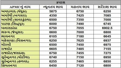 કપાસના તા.28-02-2025ના રોજ APMCના ભાવ રૂ.4350 થી 7625 રહ્યા.