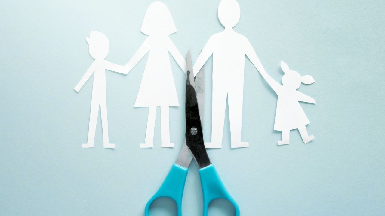 જો પતિના નામ પર કોઈ સંપત્તિ , બેન્ક બેલેન્સ, વ્યવસાય કાંઈ હોય તો પત્નીને આ સંપત્તિમાં હિસ્સો મેળવવાનો અધિકાર છે. જો પતિ પાસે વસિયત  (Will)  ન હોય, તો પત્નીને કાનૂની વારસદાર તરીકે પતિની મિલકતમાં તેનો હિસ્સો મળશે.જો પતિ સરકારી કર્મચારી હોય તો પેન્શન અને અન્ય લાભ મળશે. પછી ભલે આ કેસ પેન્ડિંગ હોય. જો પતિ કોઈ પ્રાઈવેટ કંપનીમાં કાર્યરત હતો અને તેની ગ્રેચ્યુટી કે અન્ય લાભ હતા તો પત્ની આનો દાવો કરી શકે છે.   