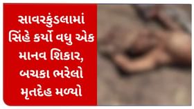 સિંહે શરુ કર્યા માનવ શિકાર ! સાવજે બચકા ભરેલો મૃતદેહ મળ્યો સિંહે શરુ કર્યા માનવ શિકાર ! સાવજે બચકા ભરેલો મૃતદેહ મળ્યો